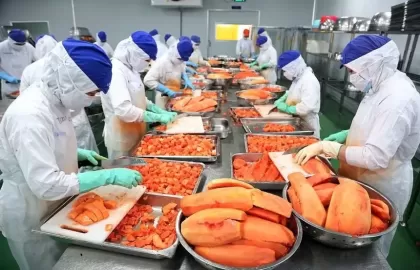 Giải pháp xử lý nước thải ngành chế biến thực phẩm – An toàn và hiệu quả