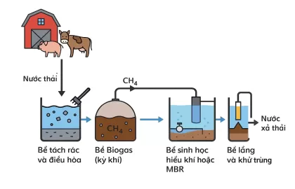 Xử lý nước thải chăn nuôi bằng công nghệ Biogas kết hợp sinh học